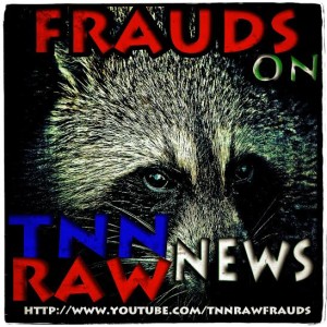 Pavillion Di Dari's entry for TNN Raw Frauds Logo Contest 